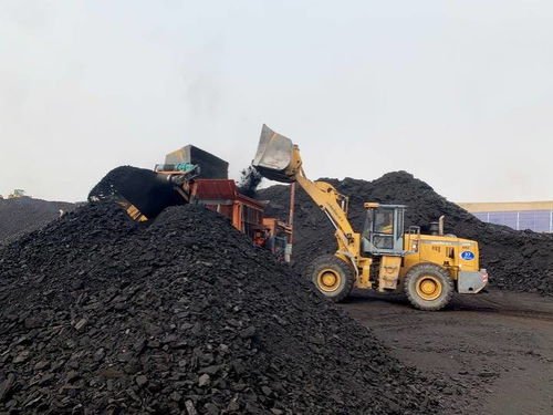 两部门 密切监测煤炭等大宗商品价格走势